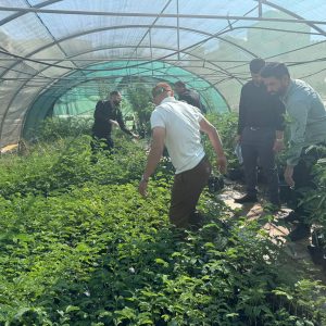 عمادة كلية الزراعة  تهدي عدداً من الشتلات لبعض مدارس المحافظة.