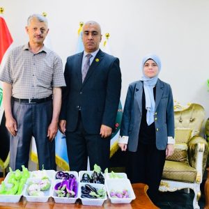 نتاجات تجربة طالبة الدكتوراه عن هجن نبات الباذنجان.