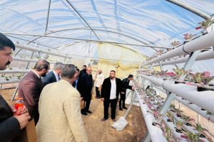 WhatsApp Image 2026-01-11 at 9.40.51 AM (1)