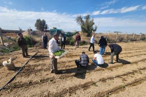 WhatsApp Image 2026-02-25 at 11.10.54 AM