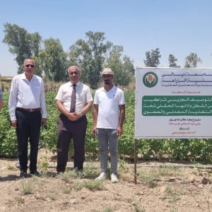 عميد كلية الزراعة يزور البحث الحقلي لطالب ماجستير في قسم علوم المحاصيل الحقلية.